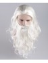 Adult Mens Santa Claus Wig and Beard Set HX-011